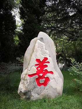 什么是四圣谛