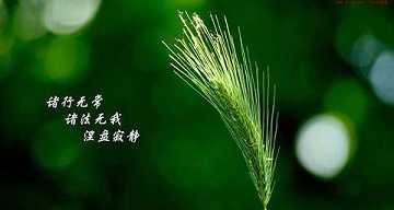 https://m.dabeigd.com/fxzagt/wwuy/179391.html