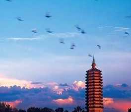 六波罗蜜的详细内容是哪些