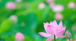 六波罗蜜的意义