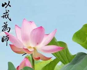 戒律的意义，特性与核心
