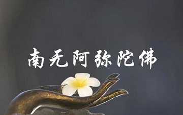 净宗修行守则