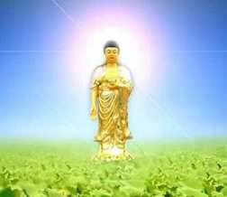 受持大悲咒有哪些福德