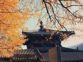 为什么佛教说不要着相