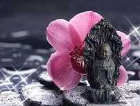 八识的体相与本源有什么