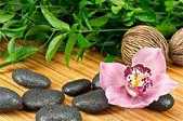 https://m.dabeigd.com/fxzagt/hzcvq/179681.html
