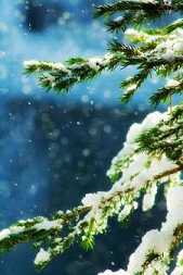 https://m.dabeigd.com/fxzagt/gfwxew/180170.html