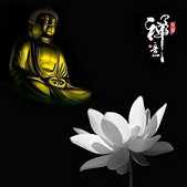 菩萨法界