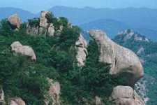 https://m.dabeigd.com/fxzagt/cshexa/183947.html