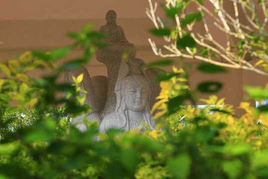 开示：佛菩萨为什么都坐在莲花上呢