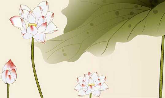 开示：“莲花”象征着什么呢