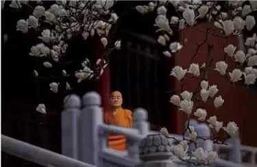 诵普门品和心经回向文