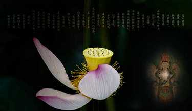 楞严经谁讲的好