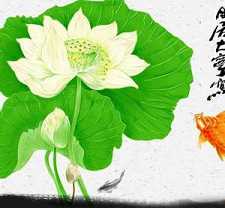 药师咒的作用有什么