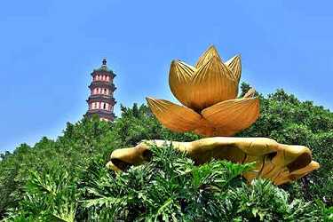 听圆觉经都有什么禁忌