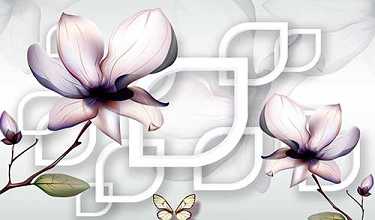读地藏经前要念什么