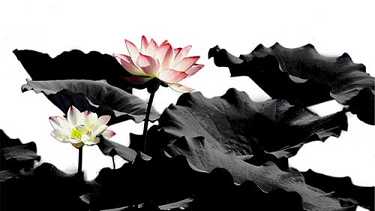 药师心咒是什么意思