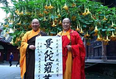 华严经偈颂