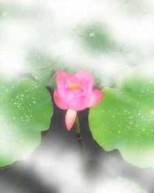 药师法门简易修持仪轨