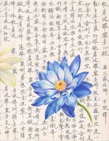 普庵咒手印大图