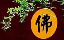 妙莲法师：念佛时如何克服昏沉散乱