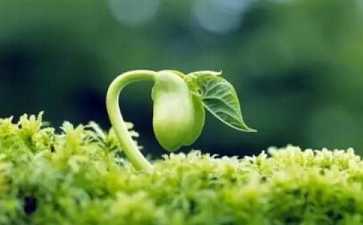 缘分离不开珍惜二字