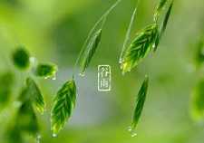 《药师法门》二十四节气养生法